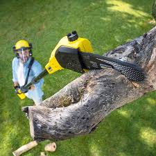 Best Pest Control for Lawns  in Fairmount Heights, MD